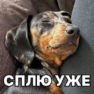 😴