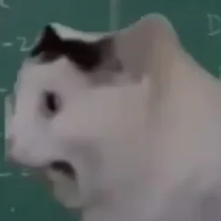 😮