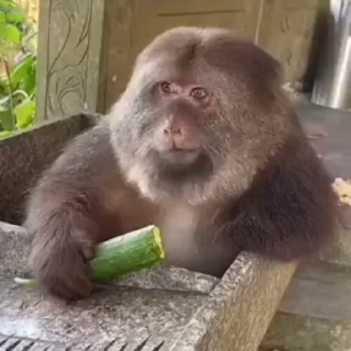 🤩