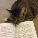 📚