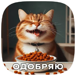 😋