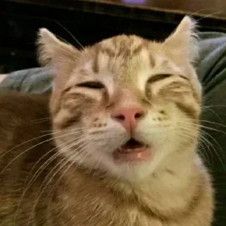 🤯
