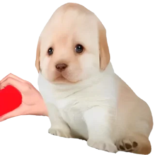 🥰