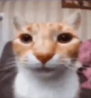 😲