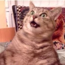 😮