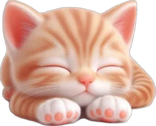 😴