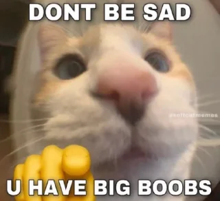 🍅