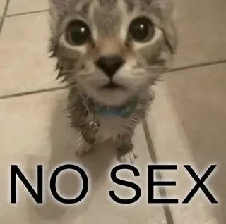 🔞