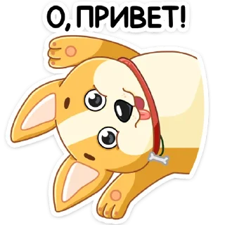 👋