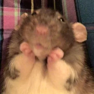 🤗