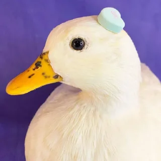 😐