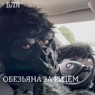 🙈
