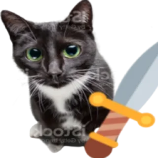 🗡