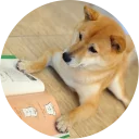 📕