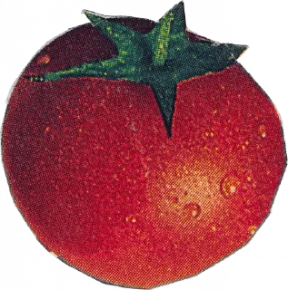 🍅