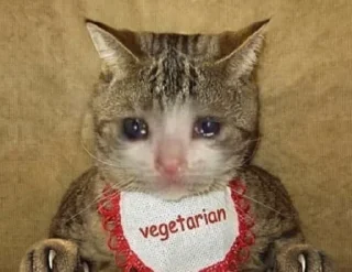 🍴