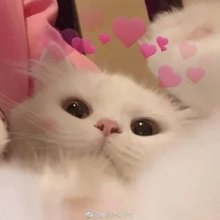 ❤️