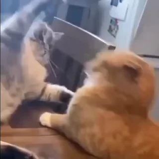 🙄