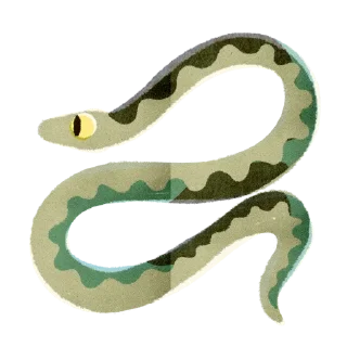 🐍