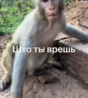 🤩