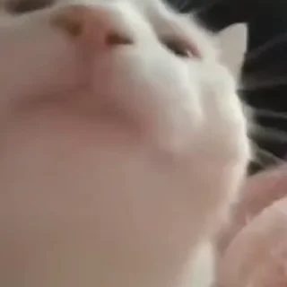 🕺