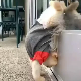 👊