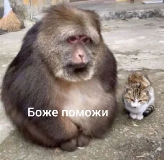 🤩