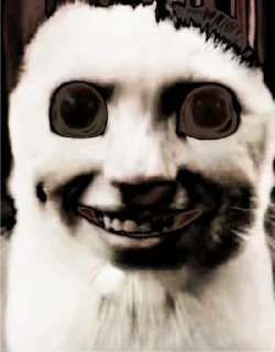 kuropotik