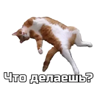 🙃