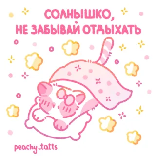 🐈