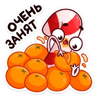 🍊