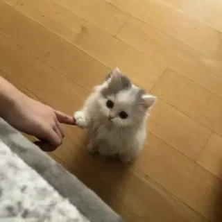 👈