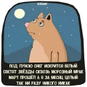 😿