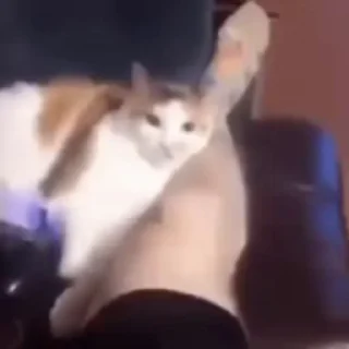 🥴