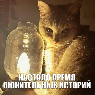 🗣