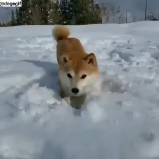 ❄