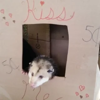 💋