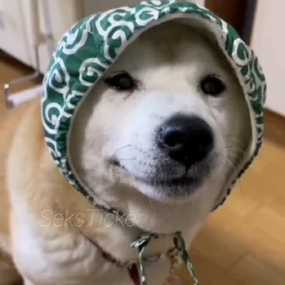 🪥