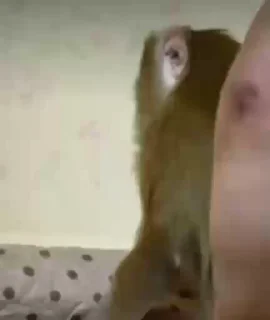 🥹