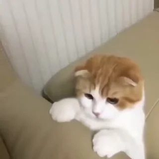 🧶