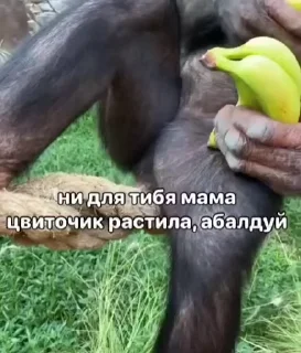 😊