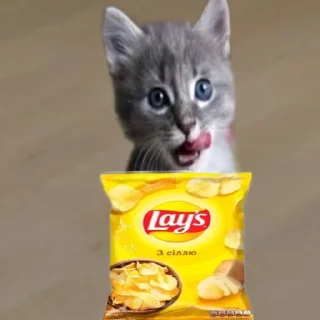 🍟