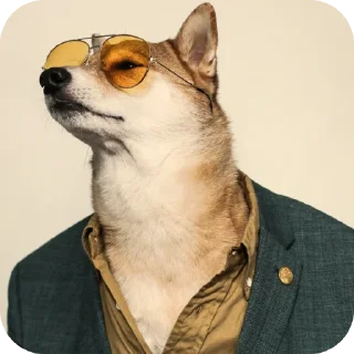 👍