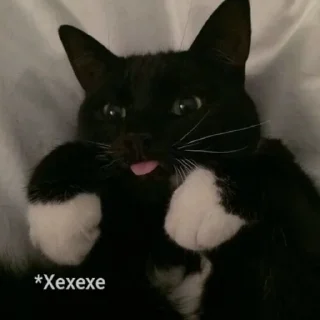 😋