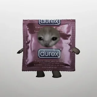 🐈‍⬛