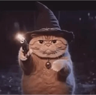 🎩