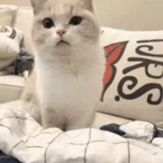 😮