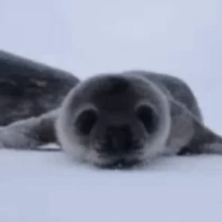 🤗