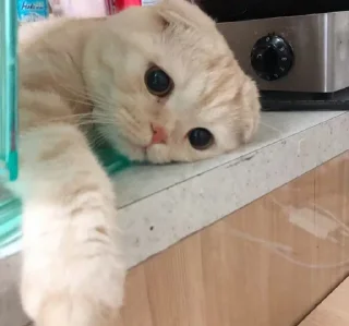 😔