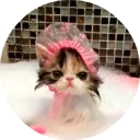 🐱